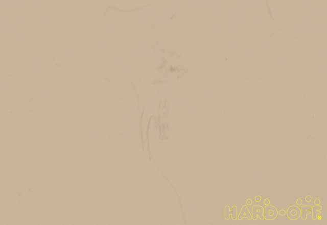 キズ有ります