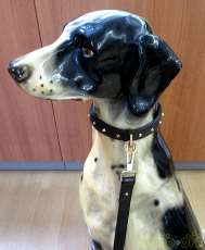 犬は付属していません。
