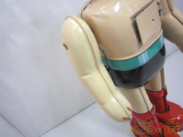 右腕部に変色が見られます。